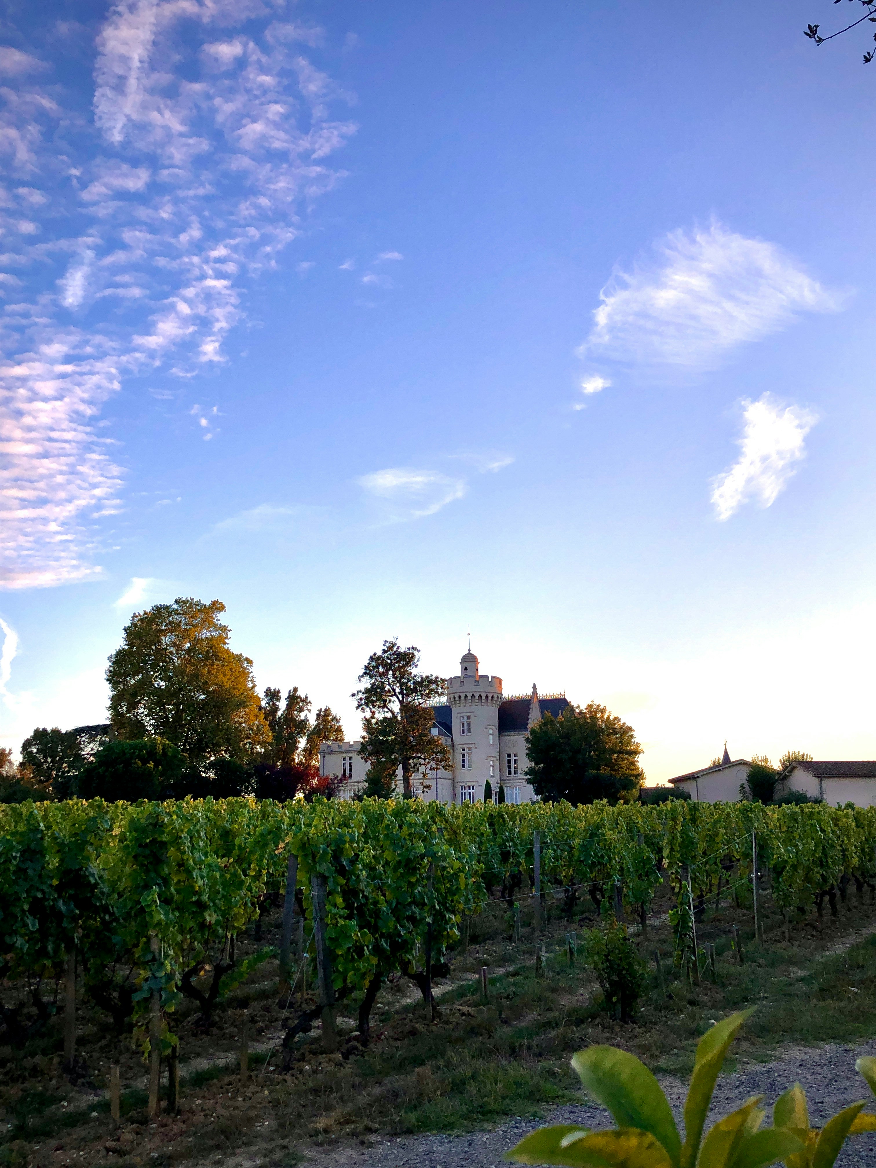 When the Second Wine Disappears: Bordeaux 2025