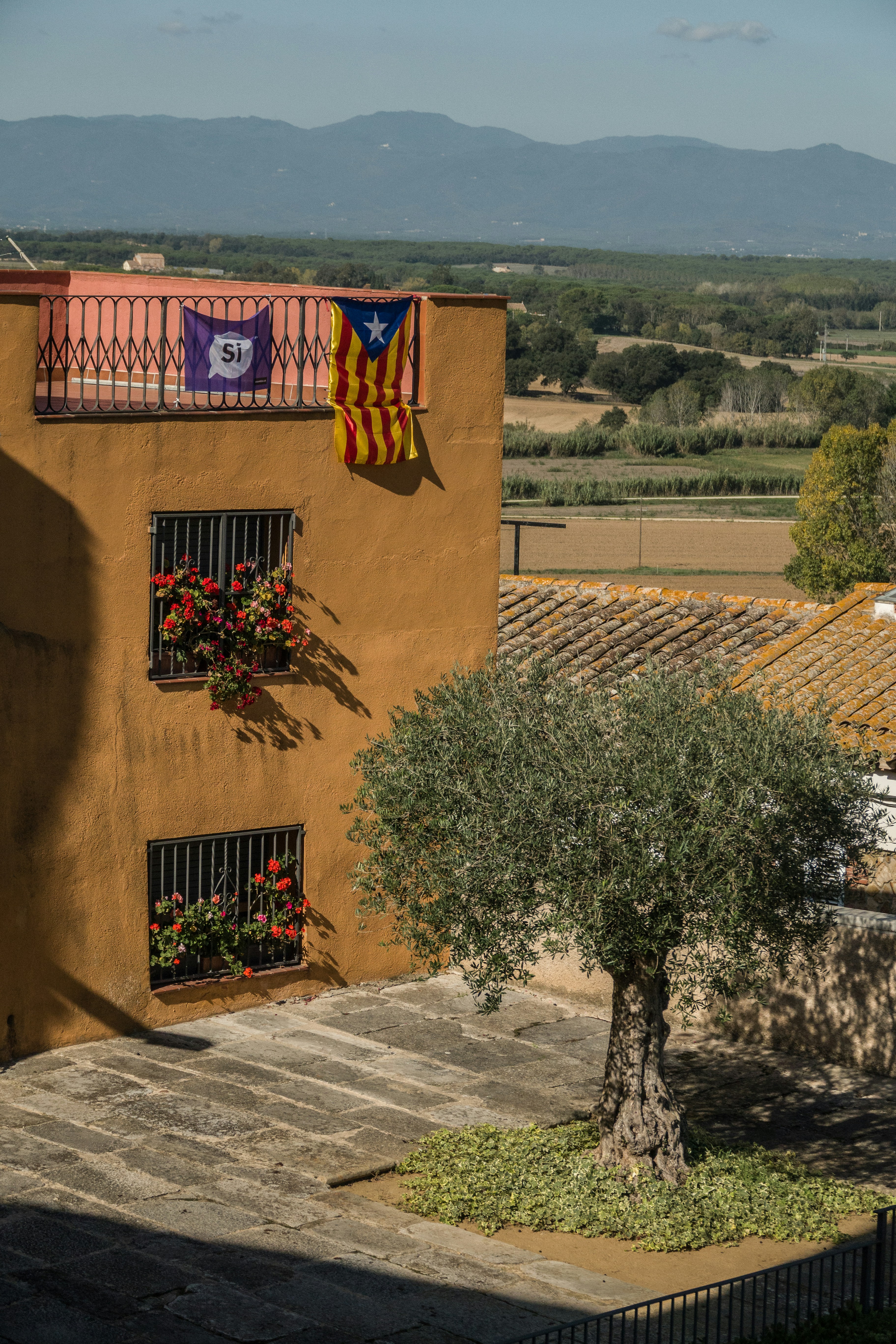 Familia Torres: From Paris Upset to Catalan Grapes