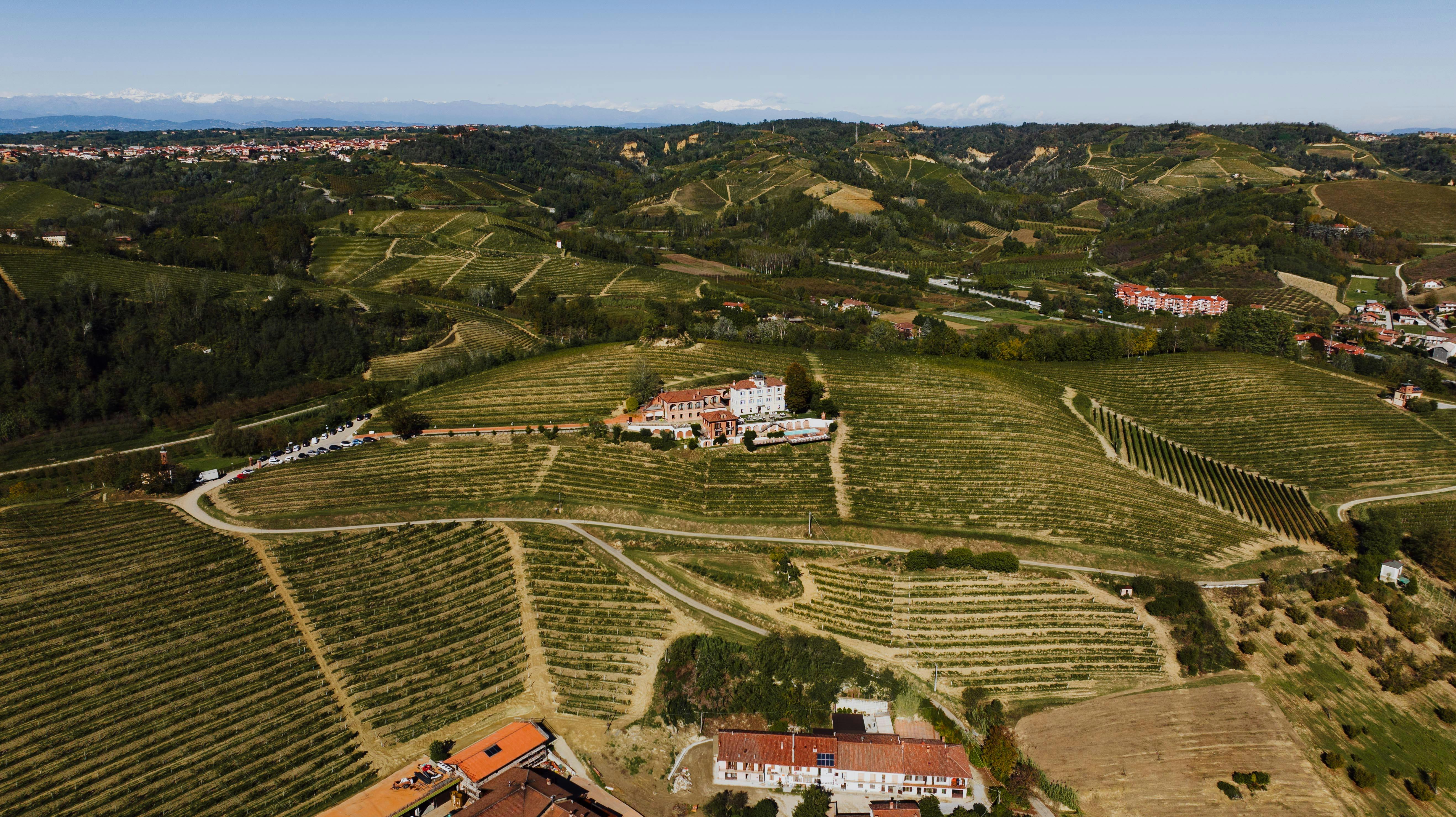 How Angelo Gaja Put Barbaresco on the Map