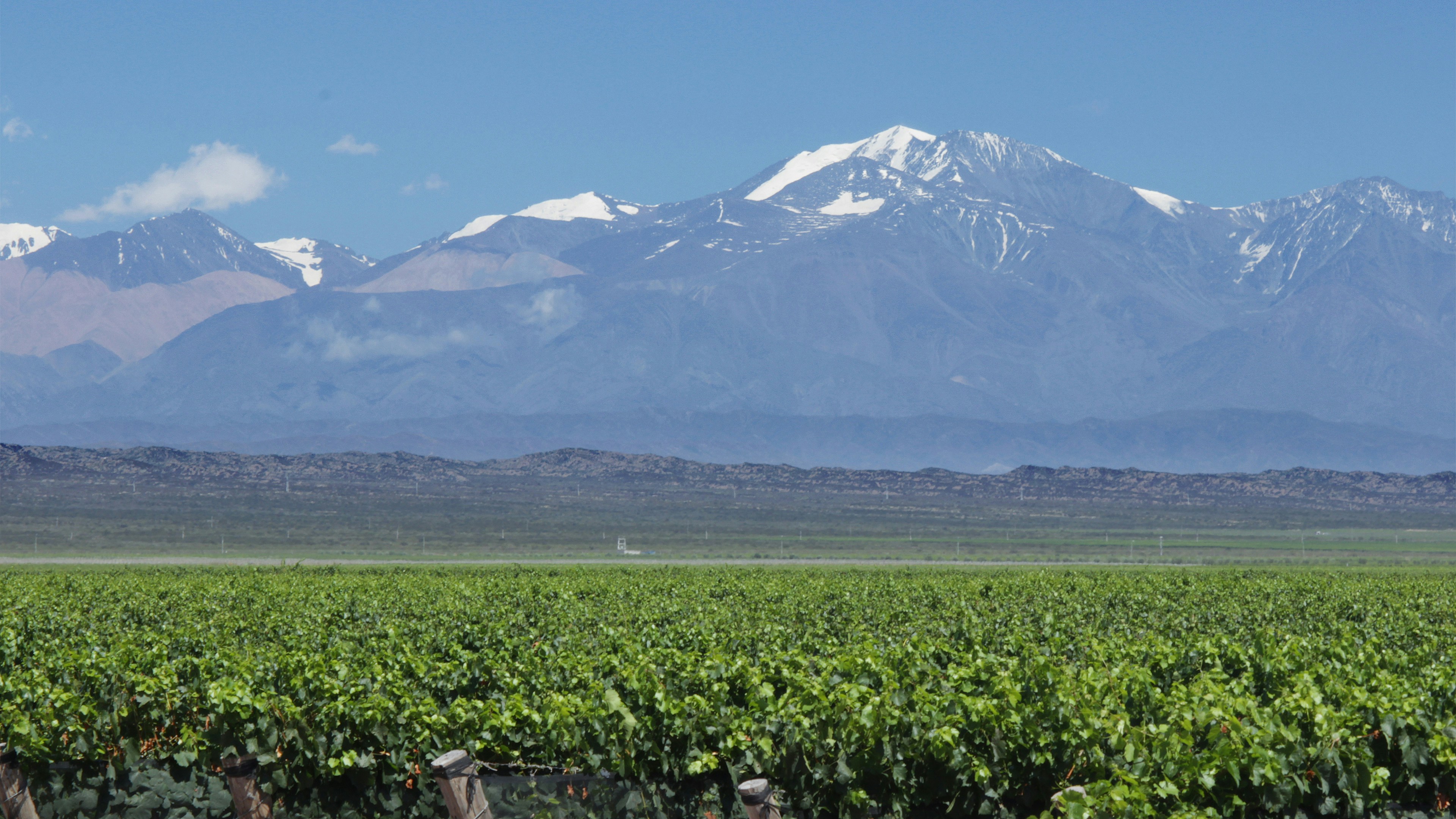 Mendoza at Two Altitudes