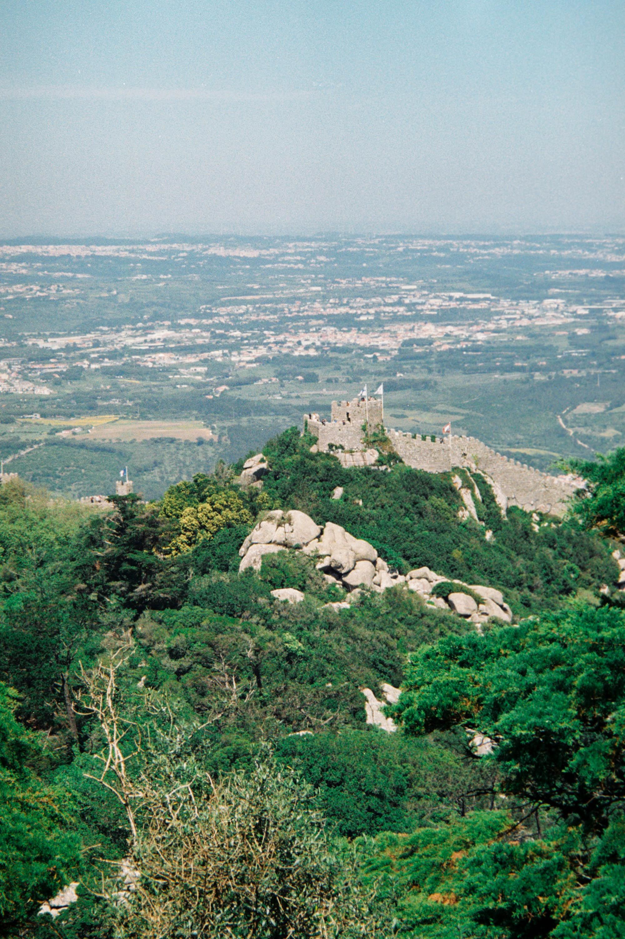 Periquita Was Portugal's First Branded Wine