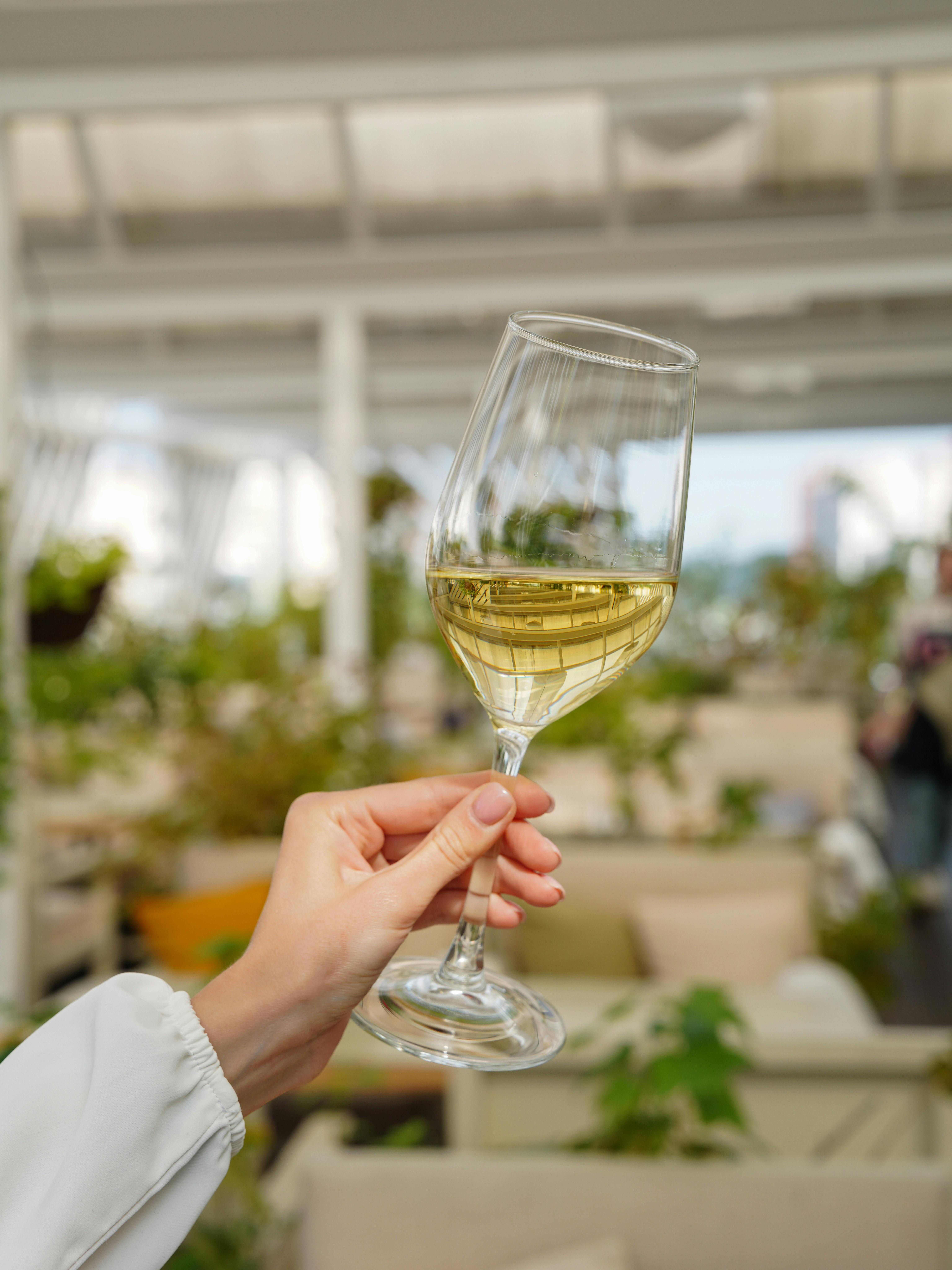 Tyrrell's Authored Two Australian Wine Styles. The Quieter One Is the Greater Feat.