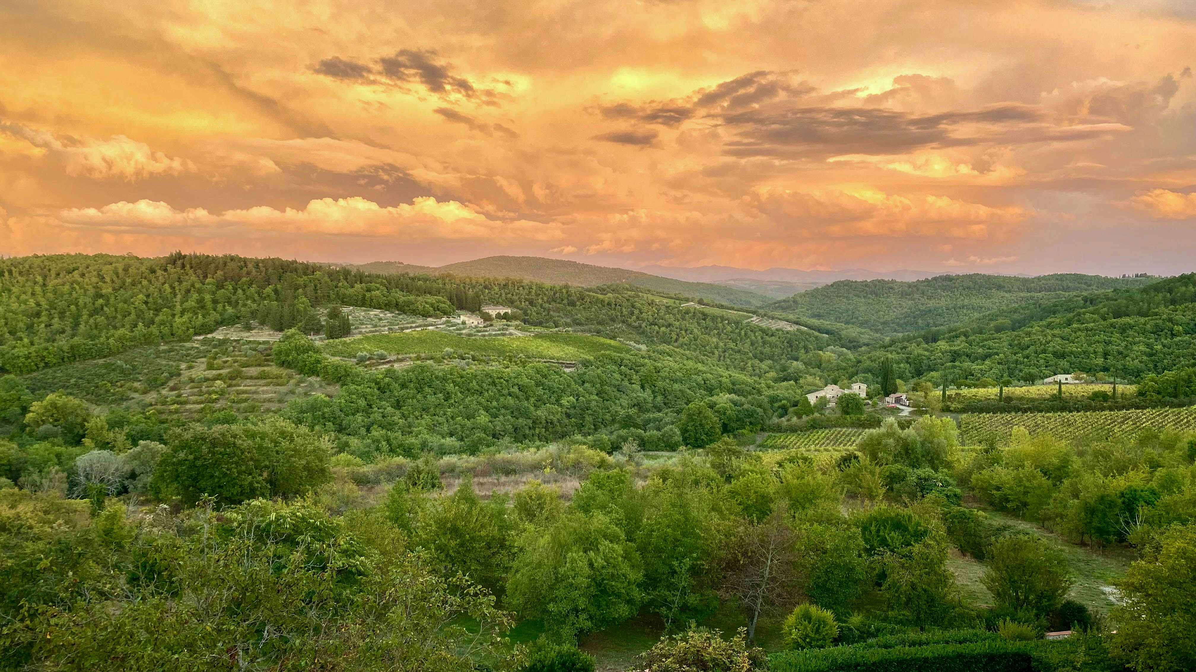 Chianti's Return to Sangiovese