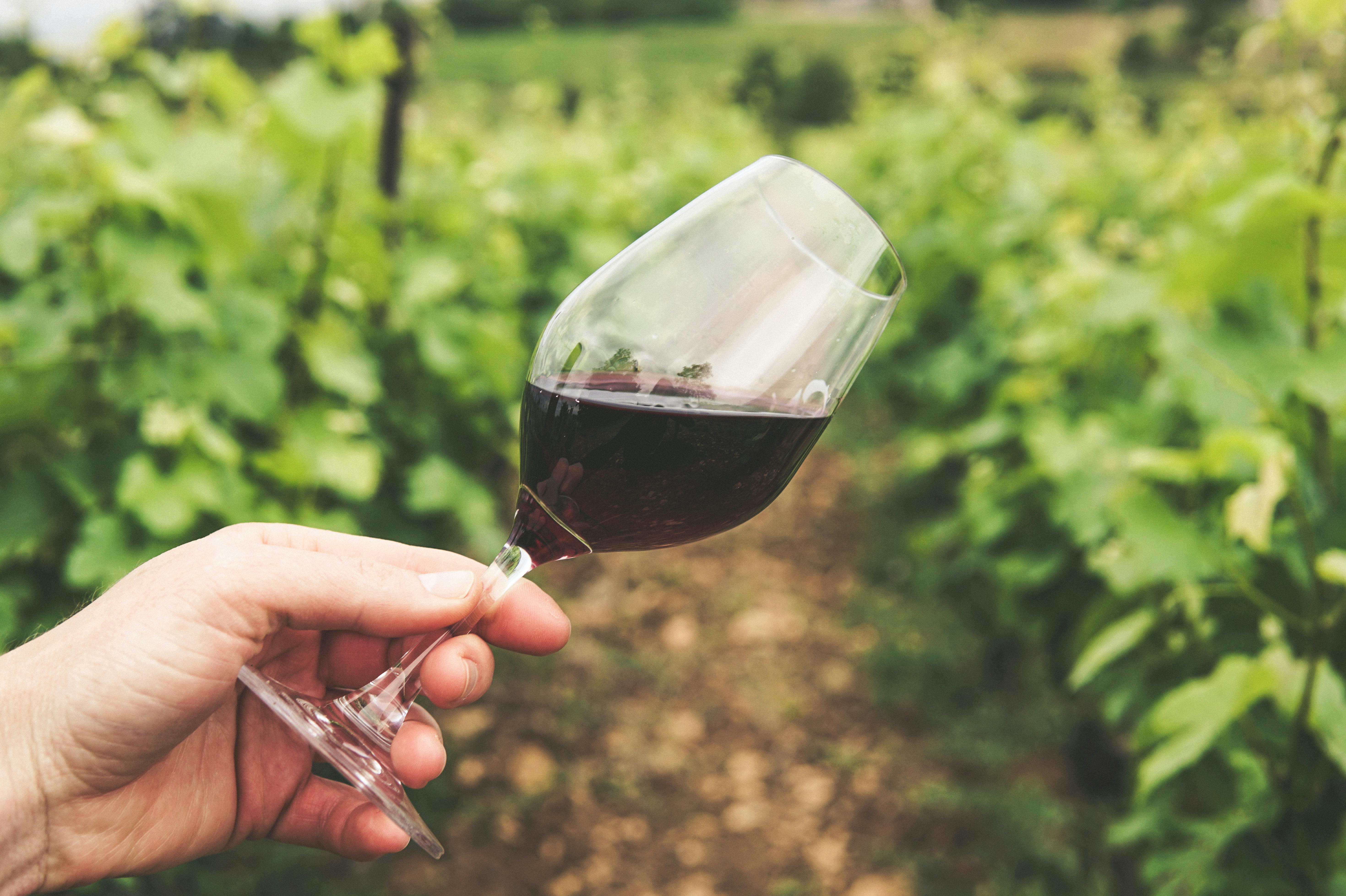 How Guigal Built the Côte-Rôtie La La's