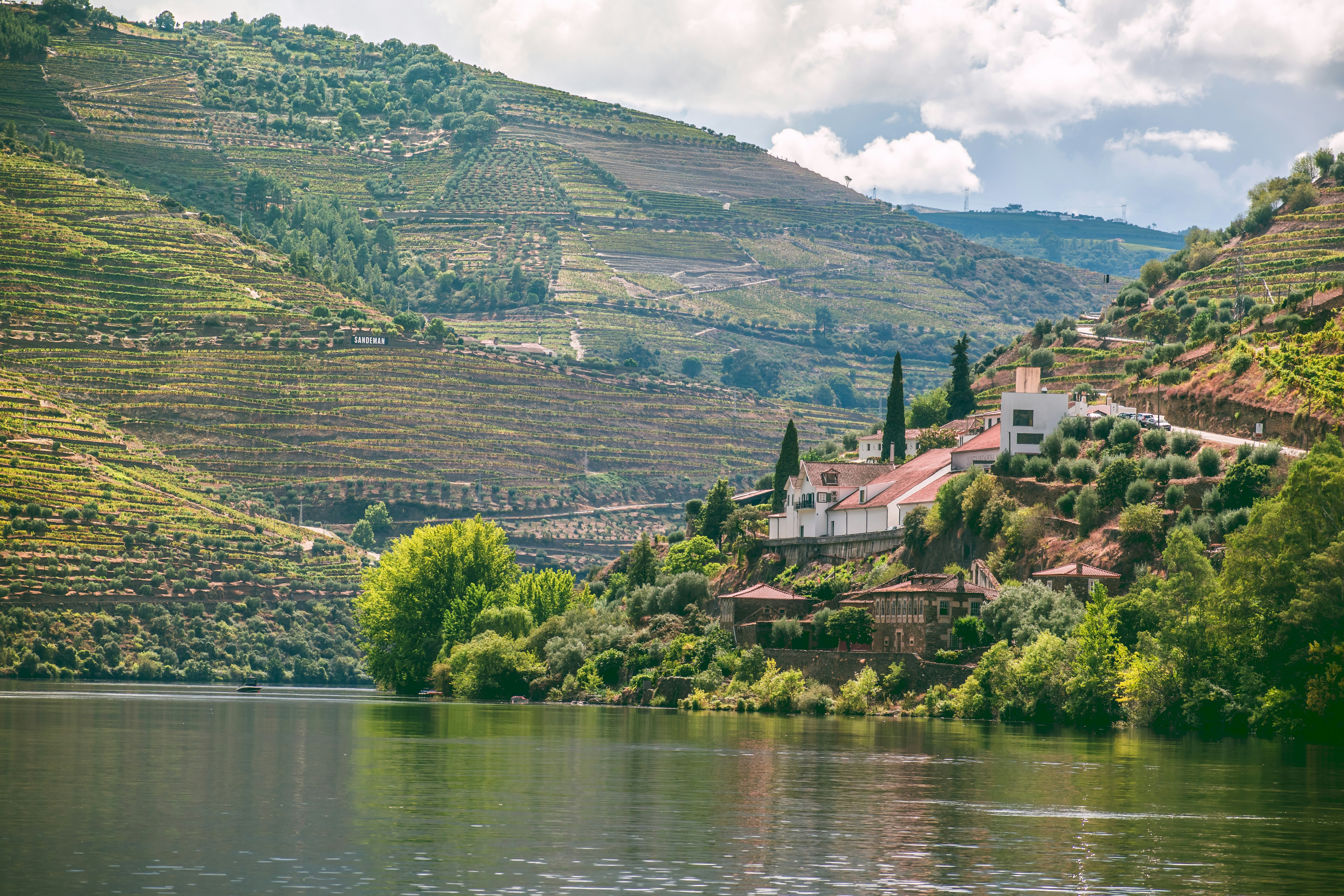 Douro Built a Dry-Red Region Out of Port Grapes