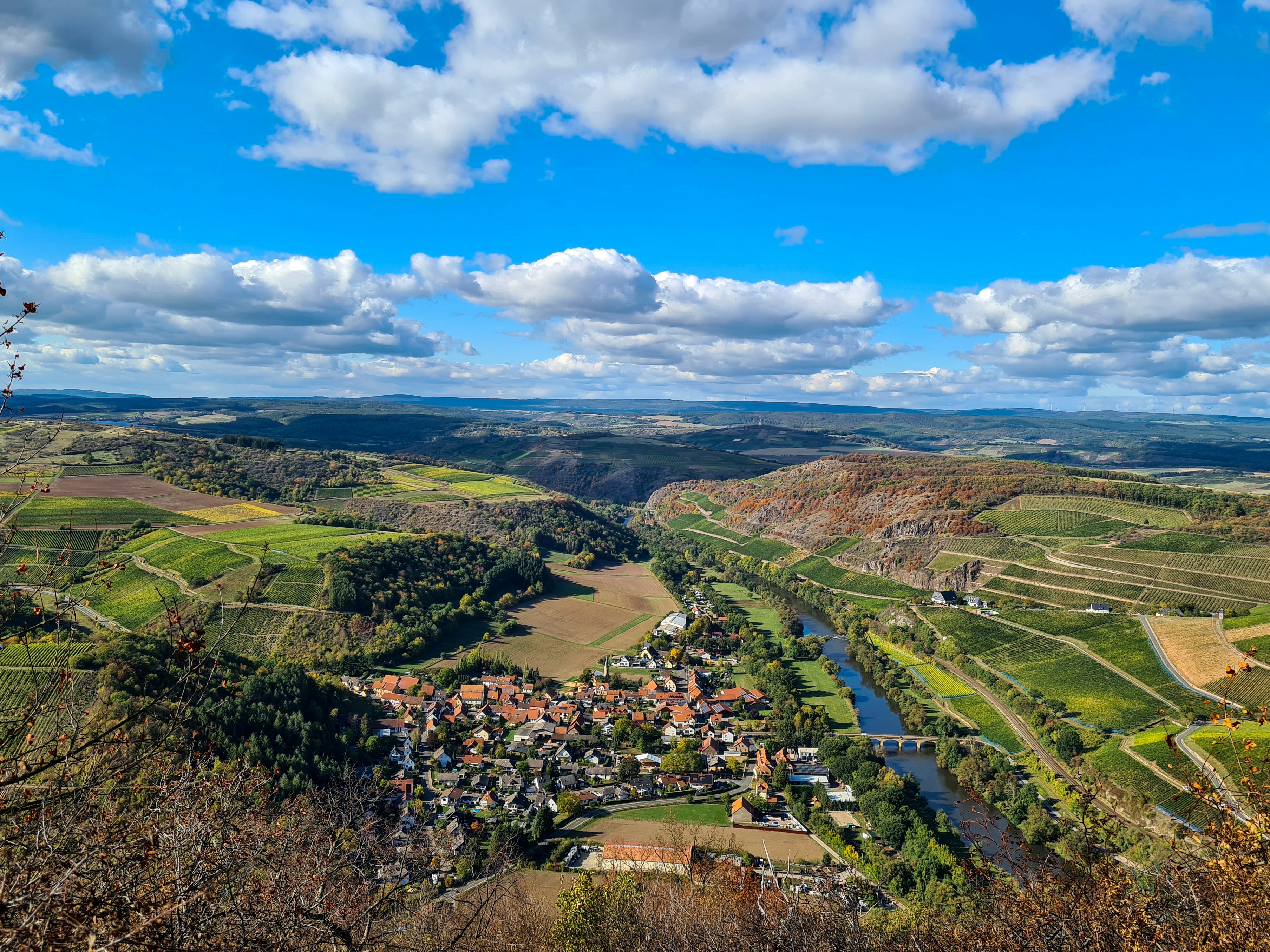 Dönnhoff: How One Estate Defined the Nahe