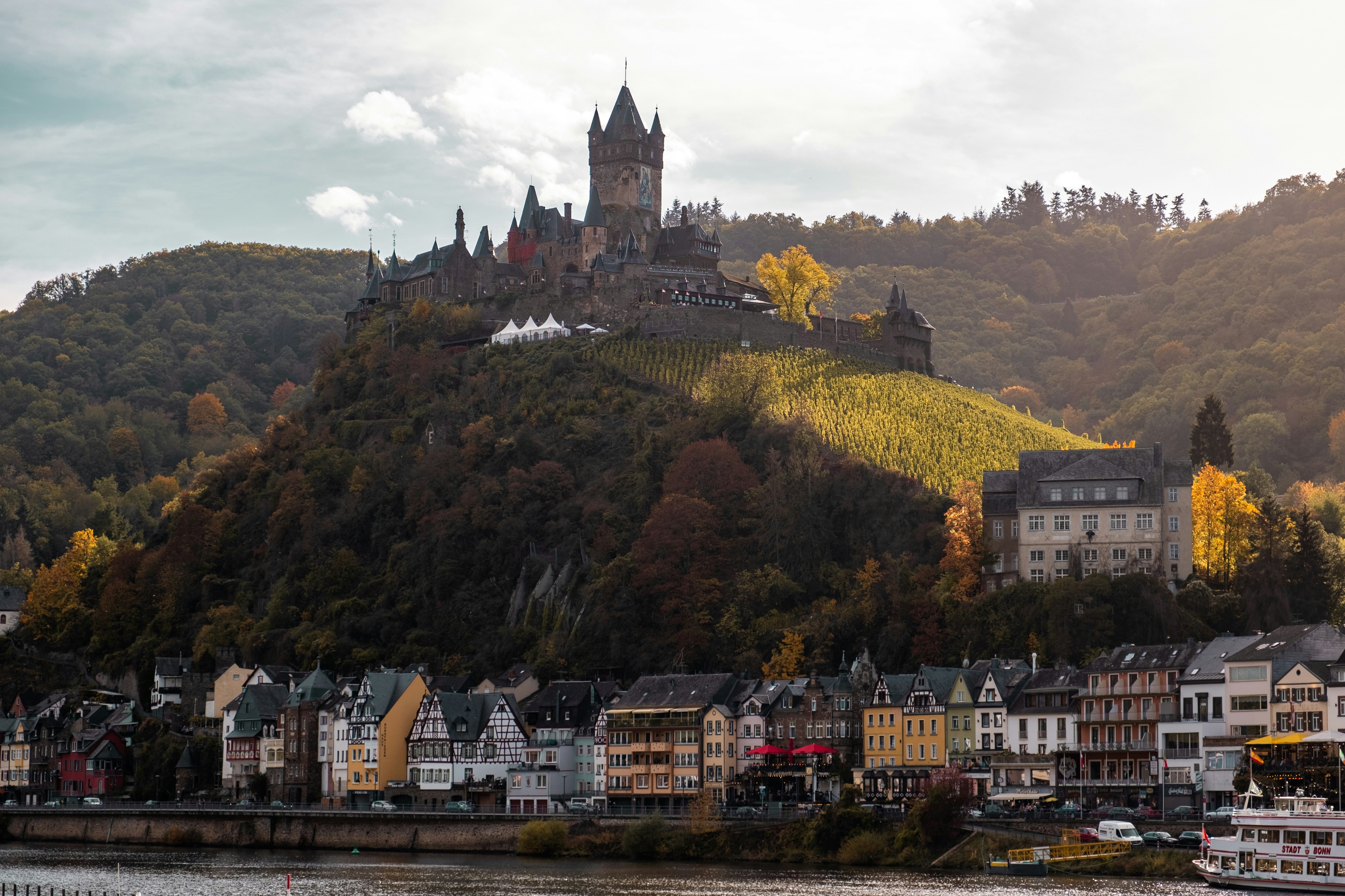 Pfalz's Dry Riesling Was Always Going to Win