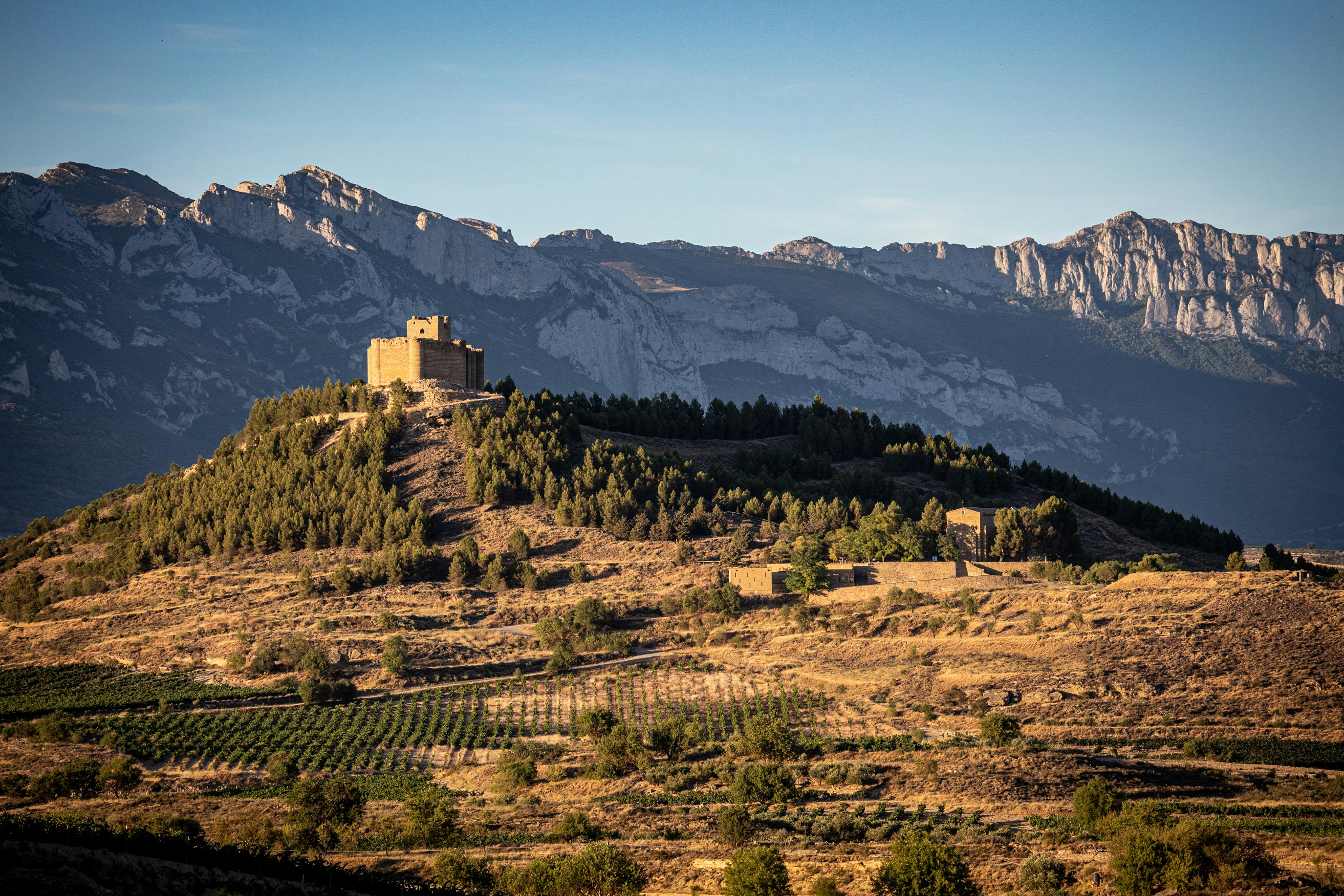 In Rioja, Geography Gets Its Due
