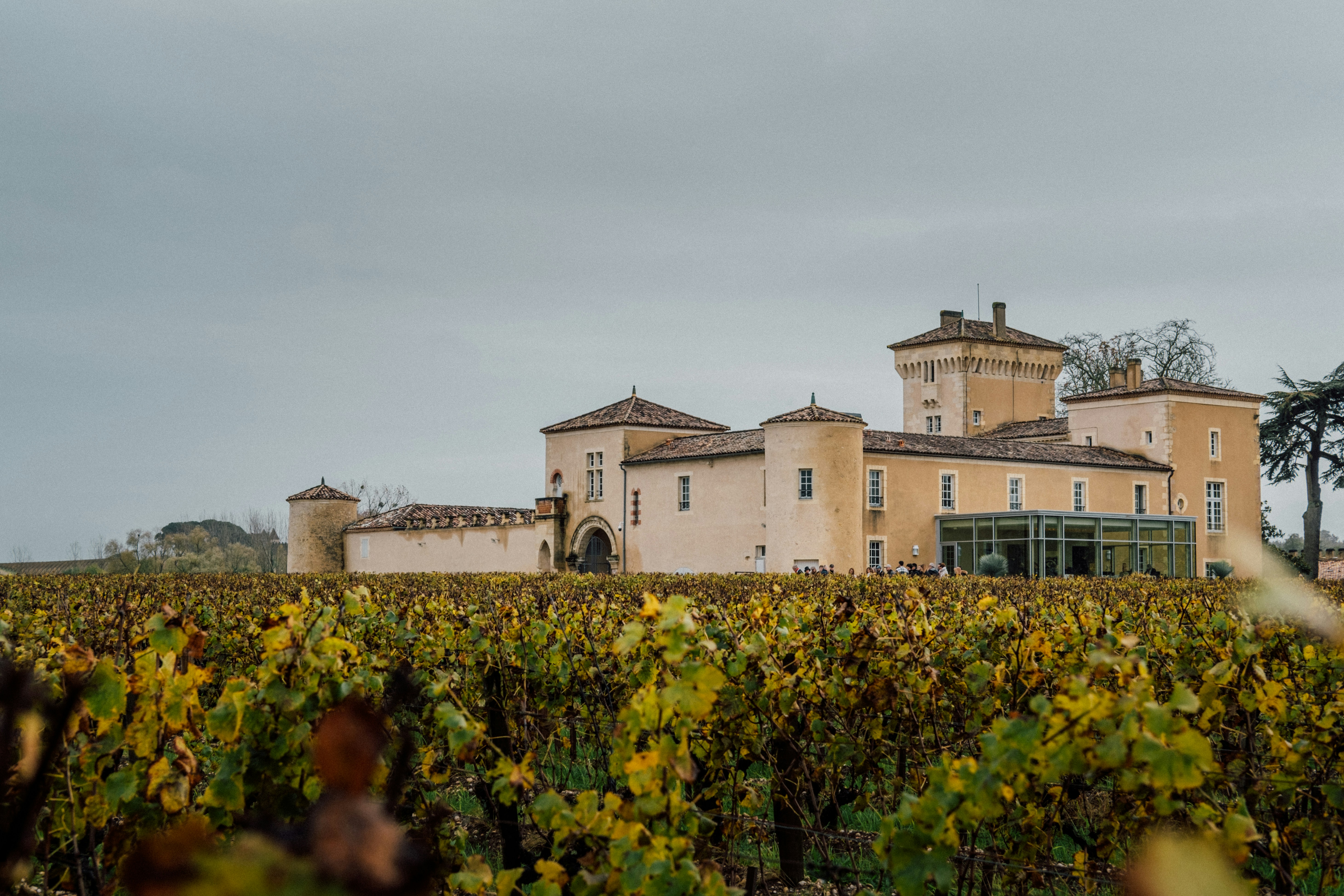 Why a Rotting Grape Can Make a Three-Hundred-Pound Bottle