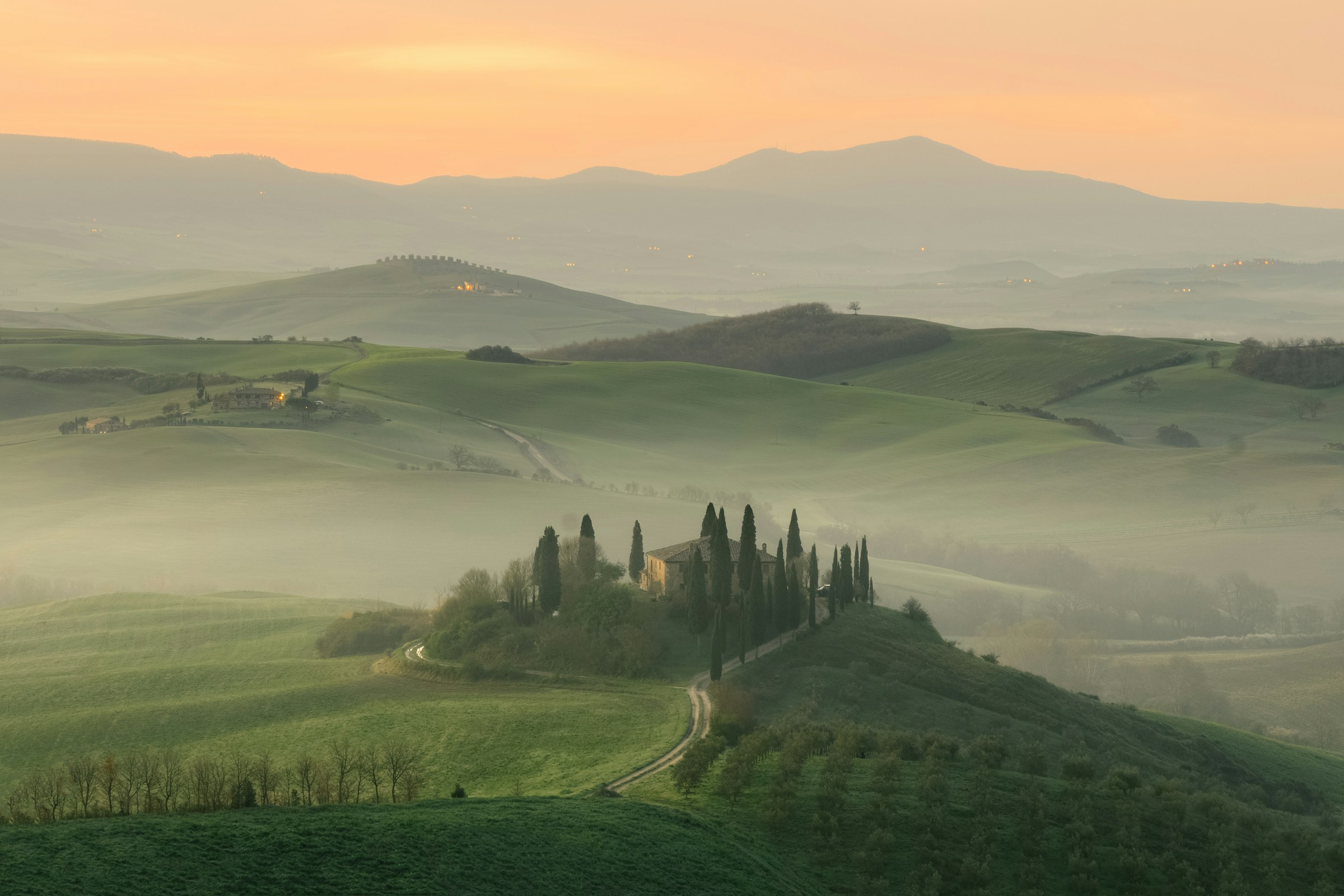 Tuscan vineyards — the heartland of Sangiovese