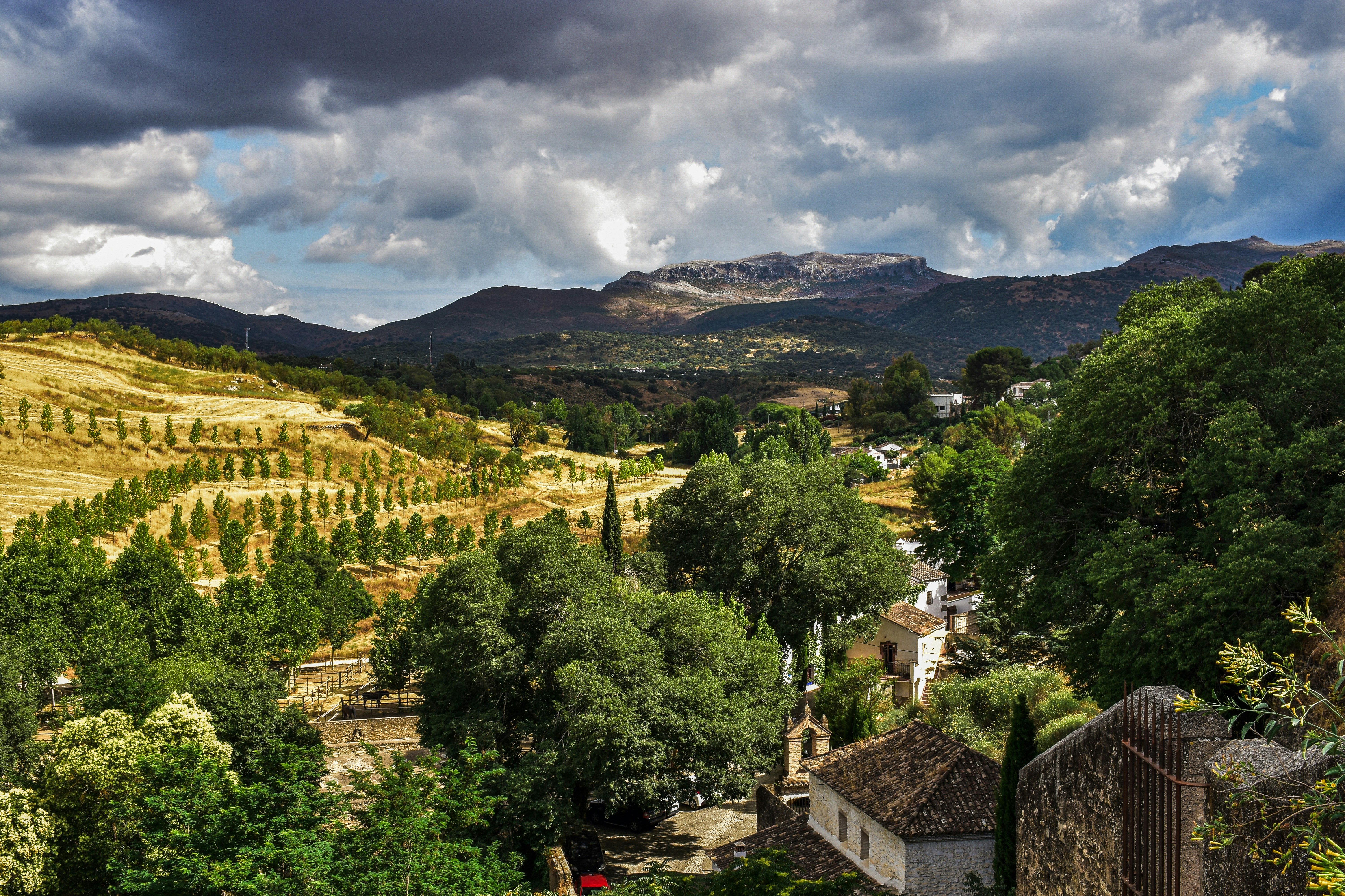 Familia Torres Is Digging Up Grapes the Region Forgot