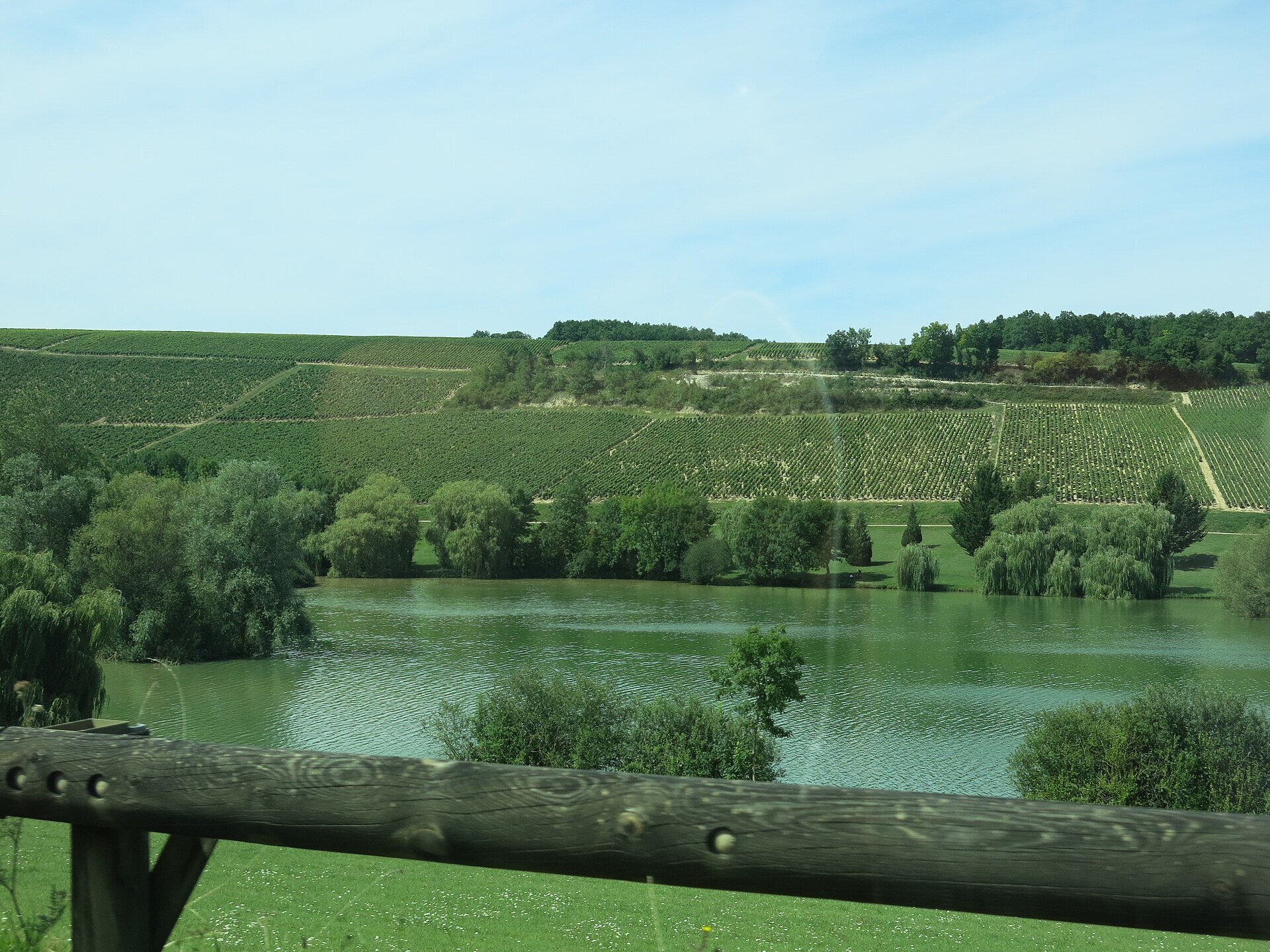 Maison Leroy: The Burgundy House That Sells the Past